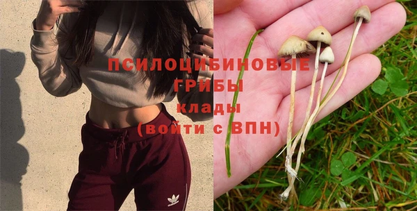 эйфоретик Болотное