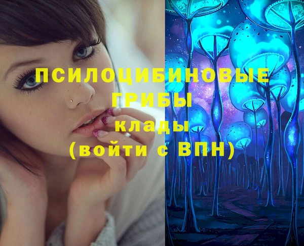 тгк Новокубанск
