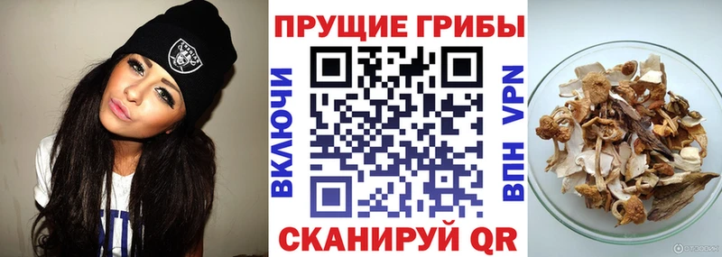 Псилоцибиновые грибы мухоморы  Собинка 